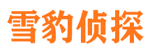 带岭寻人公司